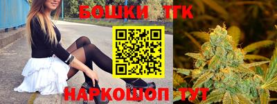 стаф Донецк
