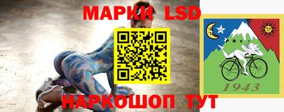 дмт Донской
